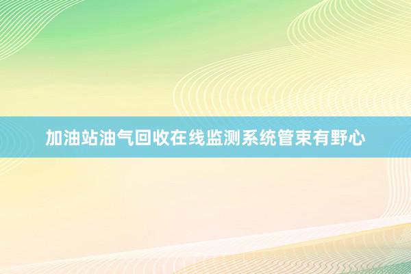 加油站油气回收在线监测系统管束有野心