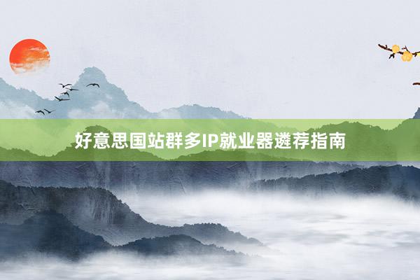 好意思国站群多IP就业器遴荐指南