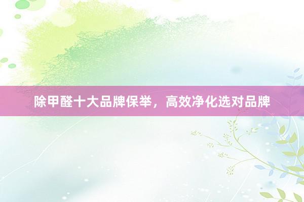 除甲醛十大品牌保举，高效净化选对品牌