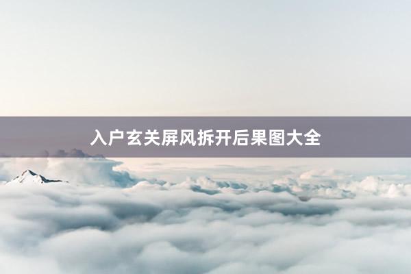 入户玄关屏风拆开后果图大全