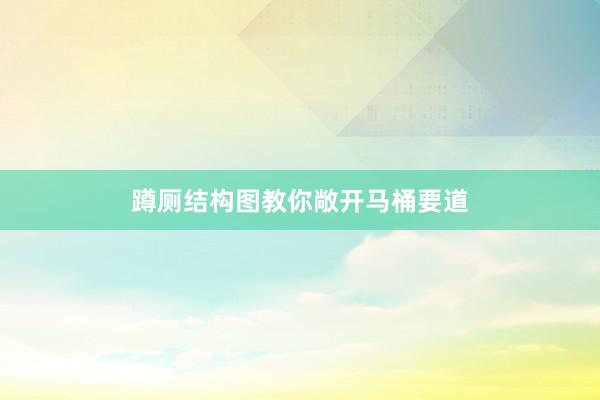 蹲厕结构图教你敞开马桶要道