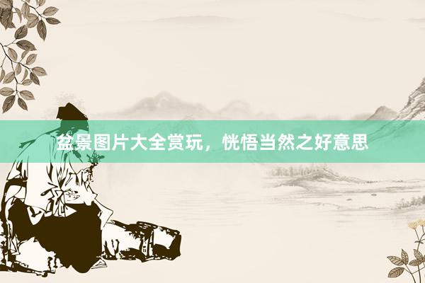 盆景图片大全赏玩，恍悟当然之好意思